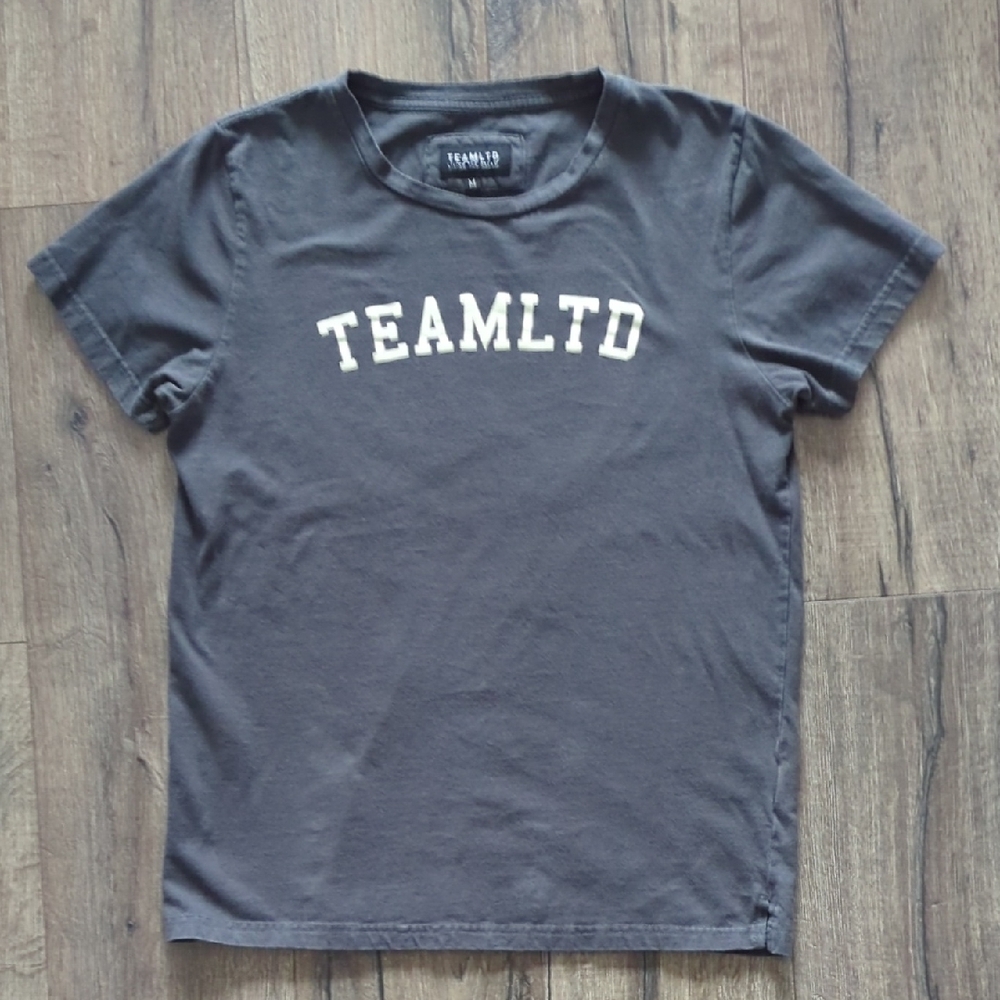 TEAMLTD Men's Grey T-Shirt